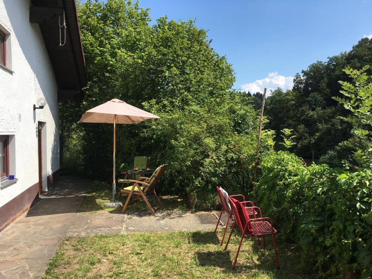 Burgruine Schoellnstein Iggensbach Екстер'єр фото
